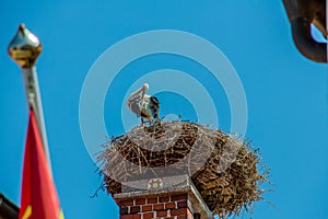 Austria, rust. nest of a stork