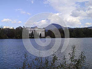 Austria Salzburg Sound of Music Tour Movie Shooting Location Backdrop Nature Background Film Scene General Mansion Edelweiss Plant photo