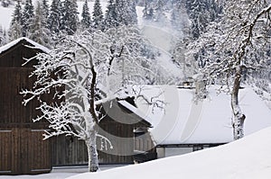 Austria, Salzburger Land, Winter scenery