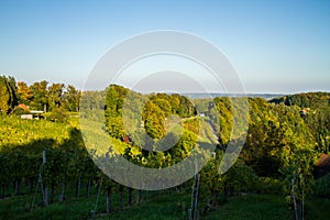 Austria. The southern region of Austria with grape plantings on the hills. Autumn. Vintage time