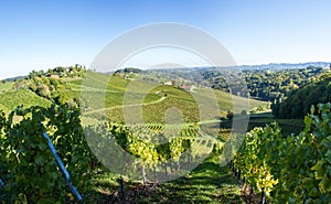 Austria. The southern region of Austria with grape plantings on the hills. Autumn. Vintage time