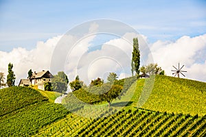 Austria Vineyards Leibnitz area south Styria travel spot