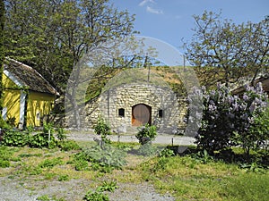 Austria, wine cellar