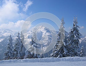 Austria / Winter scene