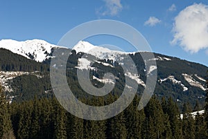 Austrian Alpine Scene