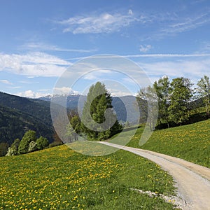 Austrian Alps