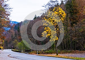 Austrian alps, Green meadows, alpine cottages and mountain peaks