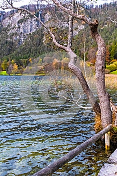 Austrian alps, Green meadows, alpine cottages and mountain peaks