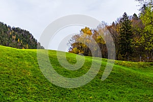 Austrian alps, Green meadows, alpine cottages and mountain peaks