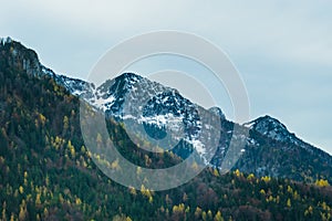 Austrian alps, Green meadows, alpine cottages and mountain peaks