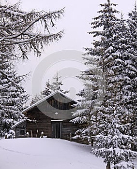 Austrian alps, wood cabin in winter with snow