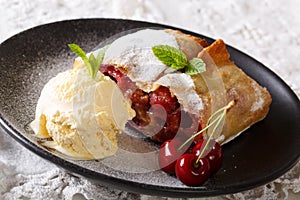 Austrian cuisine: cherry strudel with vanilla ice cream close-up on a plate. Horizontal