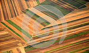 Austrian cultivated land seen from a plane