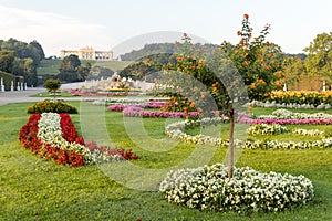 Austrian flag made of flowers, view on Schoenbrunn Palace garden with colorful flowers