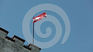 Austrian Flag Waving in the Wind with blue sky background
