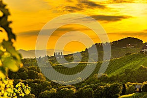 Austrian grape hills view from wine road in summer. Tourist destination, travel spot