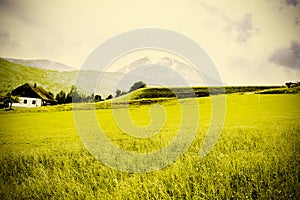 Austrian pasture and village