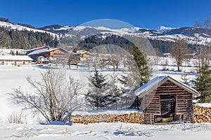 Austrian Winter