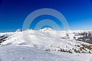 Austrian Winter