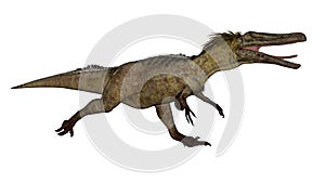 Austroraptor dinosaur -3D render