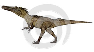 Austroraptor dinosaur -3D render