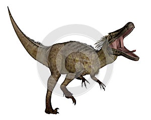 Austroraptor dinosaur -3D render
