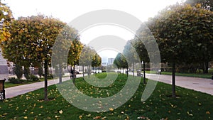 Autamn in the park photo