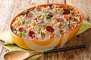 Authentic Arroz de pato duck rice is a traditional recipe from Portugal cooked with red wine, onion, carrot and chorizo close up