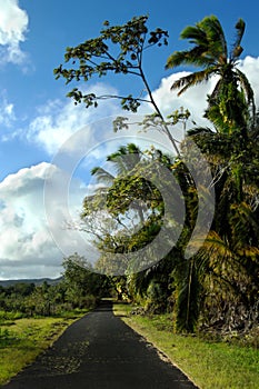 Authentic Backroad on Big Island photo