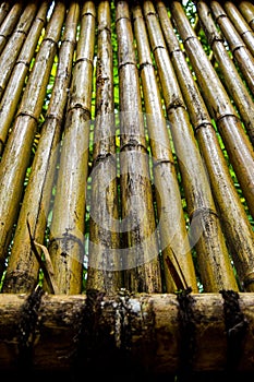 Authentic bamboo in house indonesia