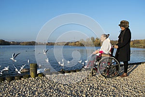 Authentic Disabled Female in Wheelchair With Asian Caregiver, Carer, Real, Healthcare.