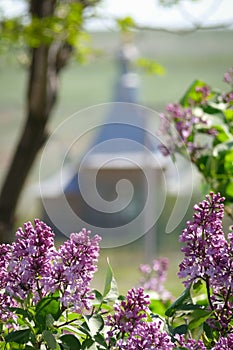 Authentic hut behind a lilac bush