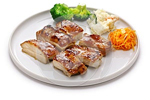 Authentic Japanese teriyaki chicken