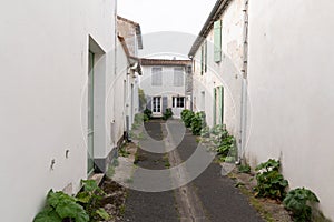 Authentic little cobblestone street in Charentes maritime Re Island in French country