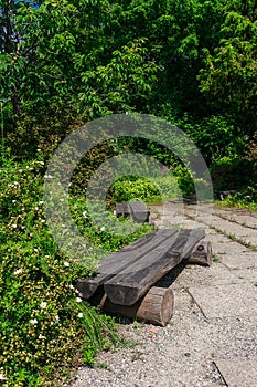 Authentic log bench in the garden among green vegetation.