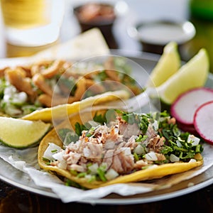 Authentic mexican street taco plate with pork