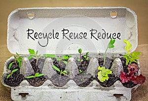 Authentic reused egg box recycled to grow vegetable seedling, with Recycle, Recuse, Reduce text