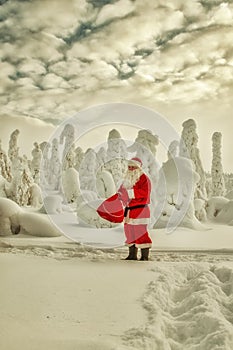 Authentic Santa Claus in Lapland.