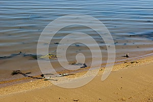 Authentic shore at Rabisha lake near by Magura cave