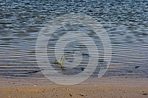 Authentic shore at Rabisha lake near by Magura cave