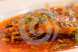 Authentic spicy Chinese food, closeup