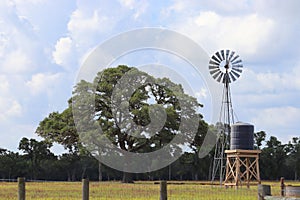 Rural landscape scenery in Texas, United States of America. Oak tree and windmill on farmland, Texan Ranch, Lone Star State. photo