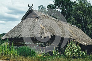 Authentic Ukrainian village house