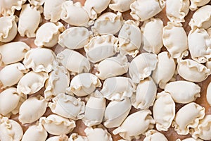 Authentic uncooked Chinese meat dumpling