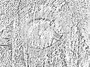 Authentic vector grunge texture of sawn wood with natural cracks and concentric circles