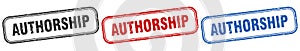 authorship square isolated sign set. authorship stamp. photo
