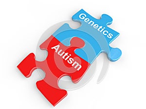 Autism and genetics puzzle link