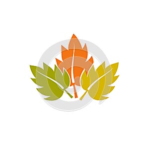 Autmn leaf logo icon photo