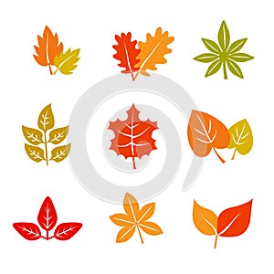 Autumn leaves logo iocn vector