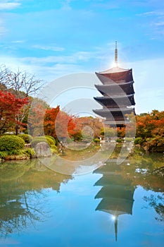 Autmn at Toji Temple in Kyoto, Japan